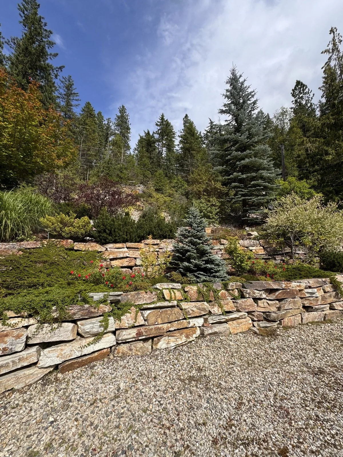 The full hillside: stone terraces and irrigated evergreen beds