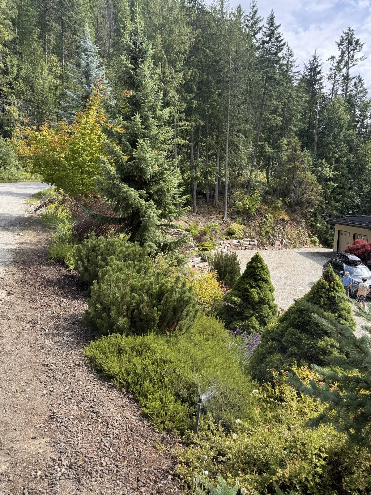 Heads working the plantings between a treed slope and the drive