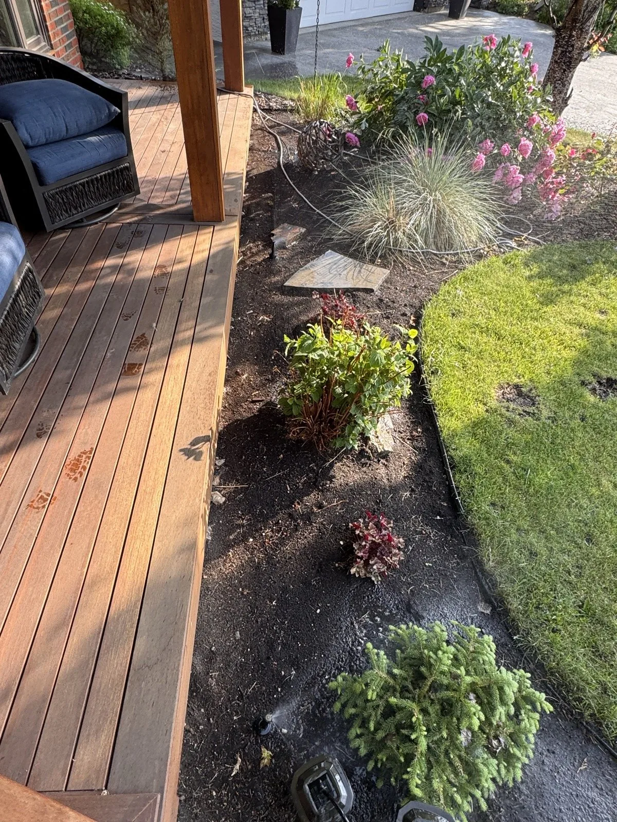 A small head tucked at the deck edge, covering the border planting