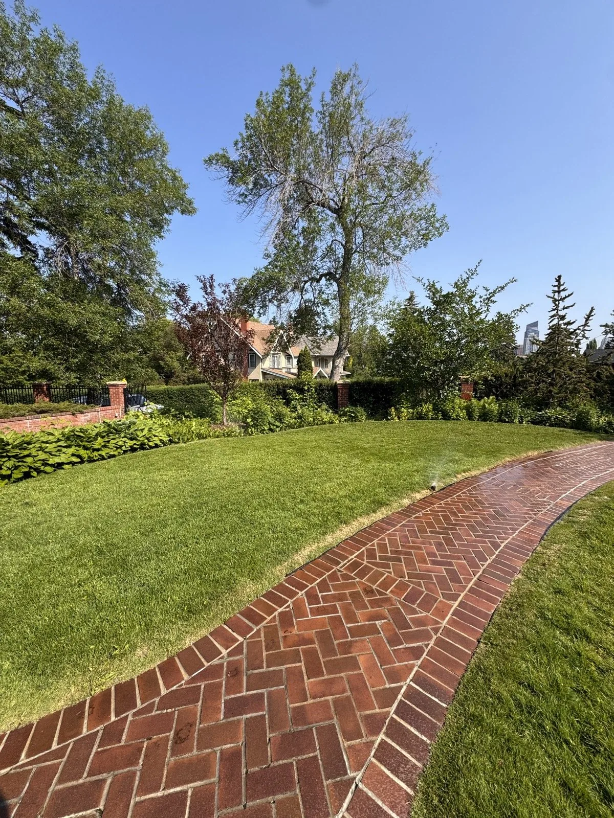 Garden edges getting misted along a herringbone brick walk