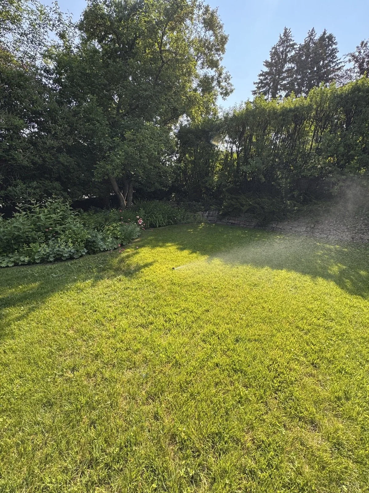 A backyard zone running under the trees