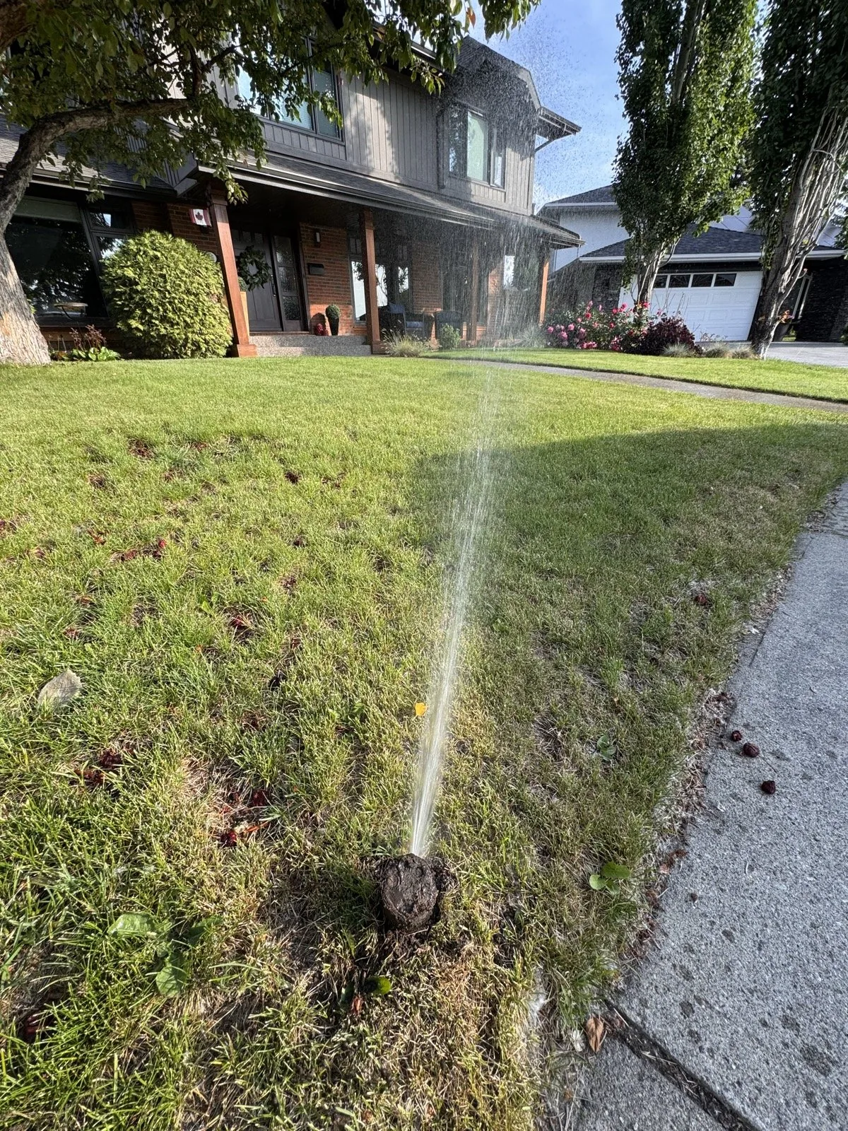 A rotor keeping the boulevard strip green at the curb