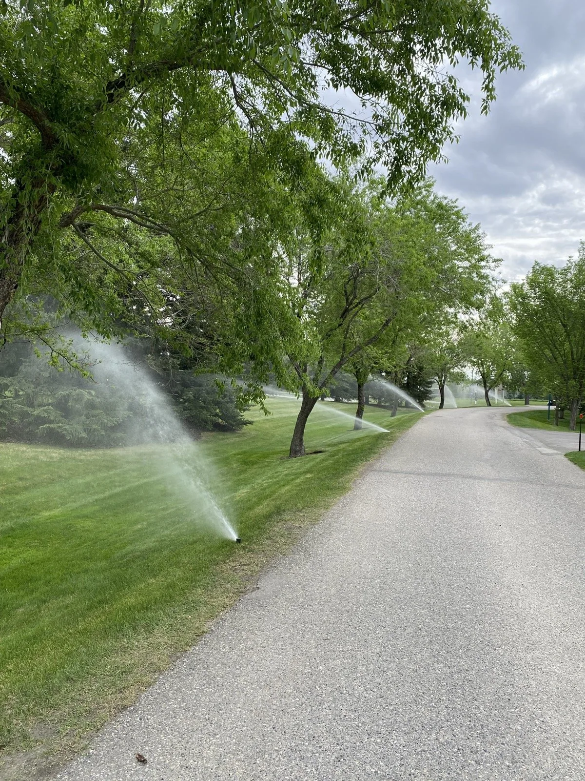 Sprinklers soaking the grass strip along a tree-lined path