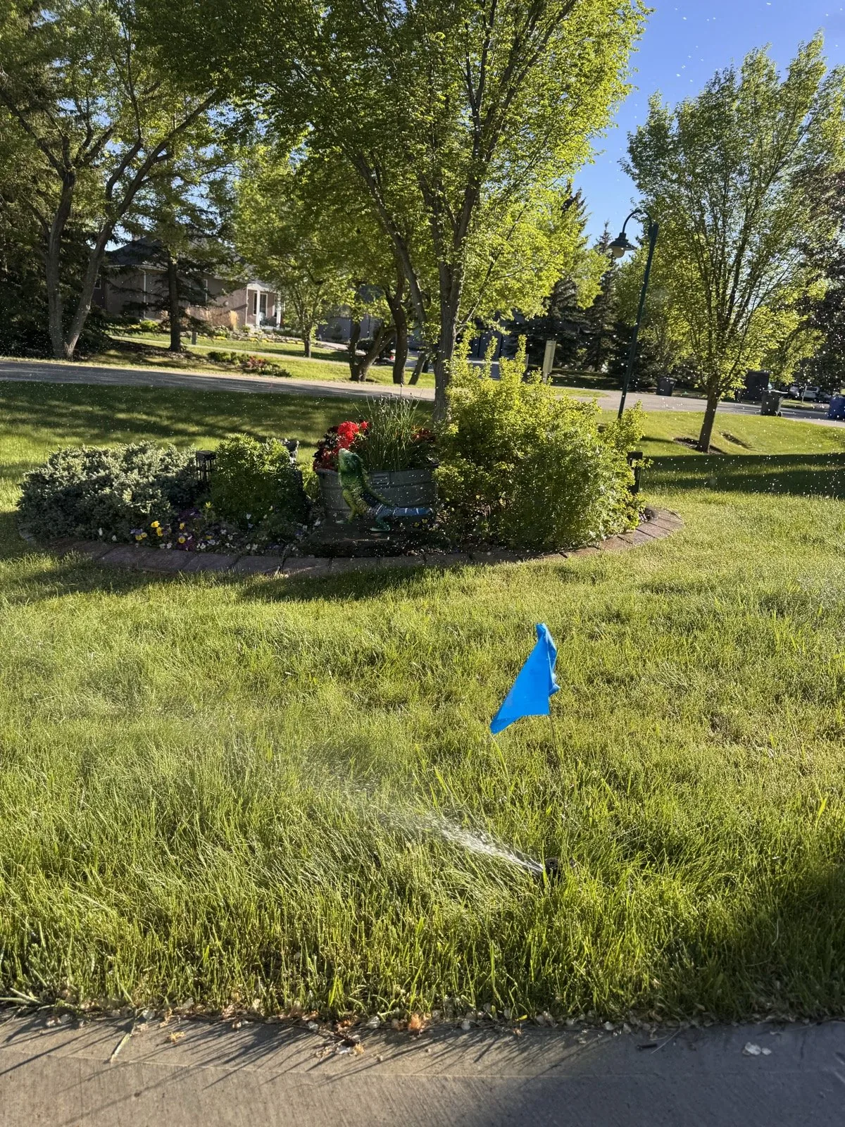 A marker flag beside a running head in an open stretch of turf